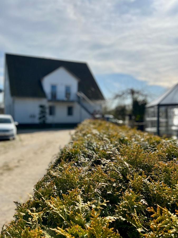 Haus Stoertebeker No.2 Διαμέρισμα Börgerende-Rethwisch Εξωτερικό φωτογραφία